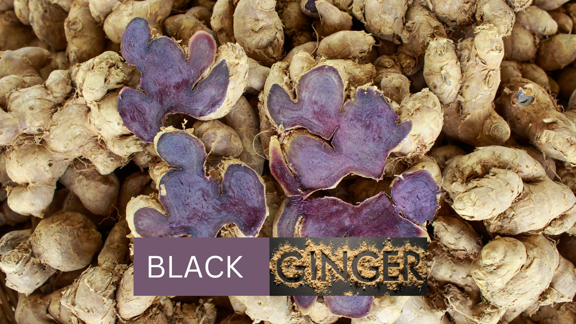 Top 5 black ginger benefits for men