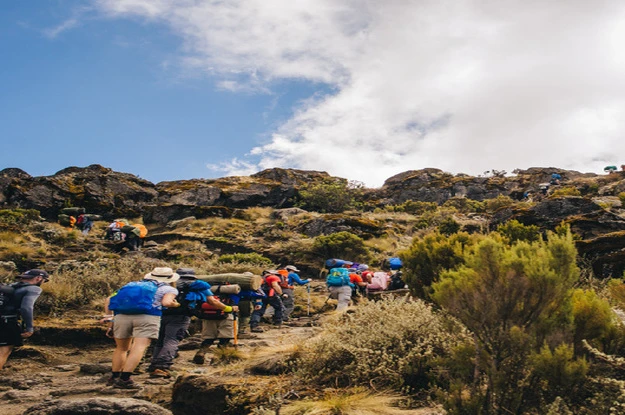 Kenya Tanzania Safari Packages from Dubai