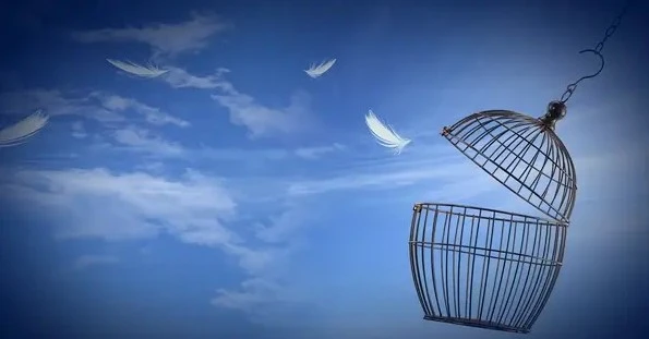 Reliable Bail Bonds in Polk County | Bartow & Sebring Experts