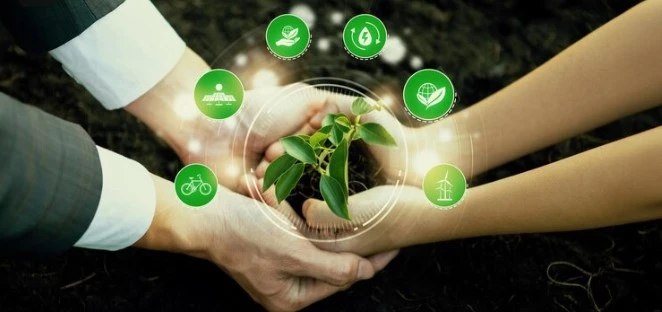 How to Obtain Environmental Certification for Your Business
