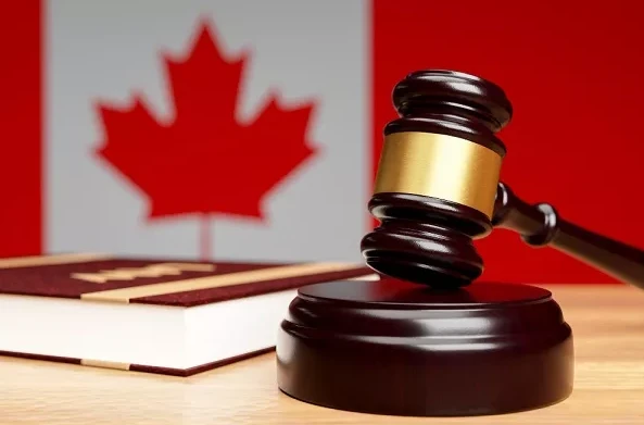 Legal Expertise of Top Criminal Lawyers: An In-Depth Analysis