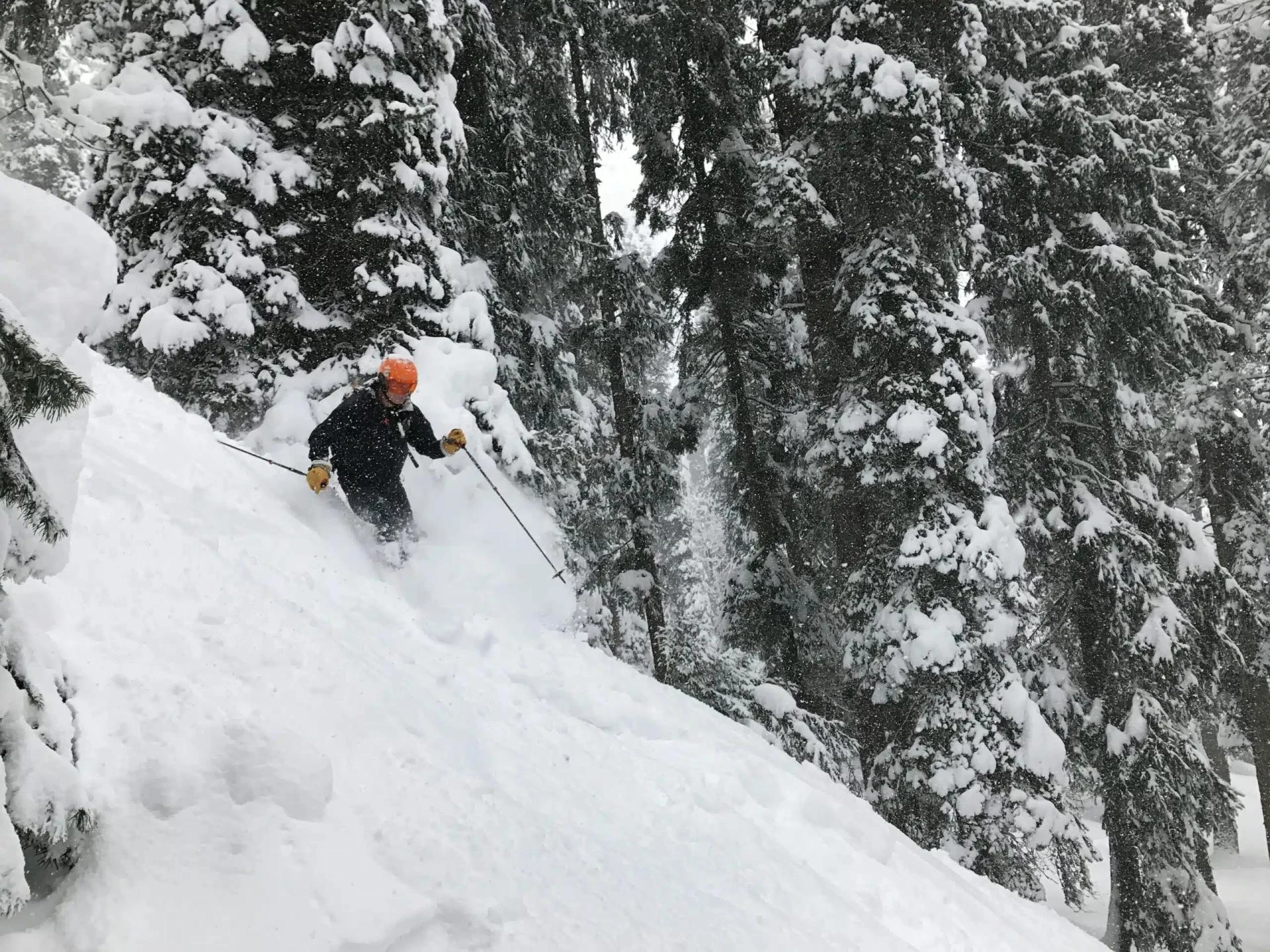 8 Best Activities to Do in Kashmir
