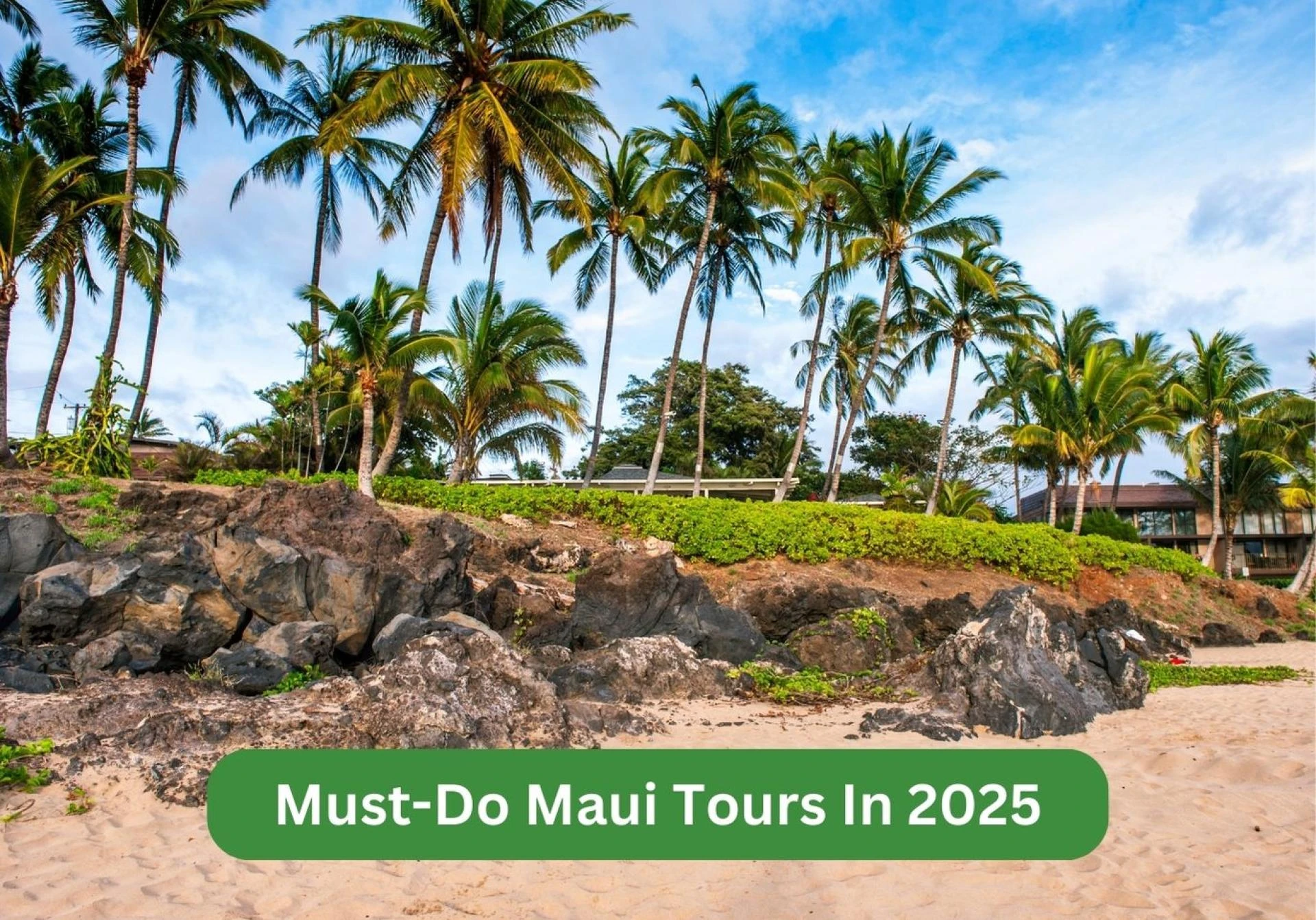 Must-Do Maui Tours & Experiences to Explore Maui in 2025