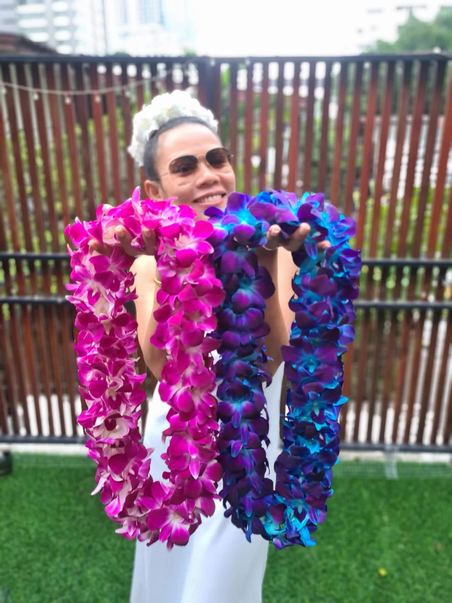 How To Buy Premium Orchids Online