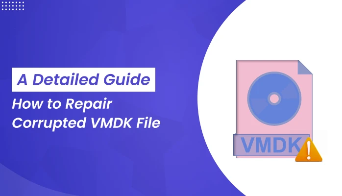 How to Repair Corrupted VMDK File: A Detailed Guide