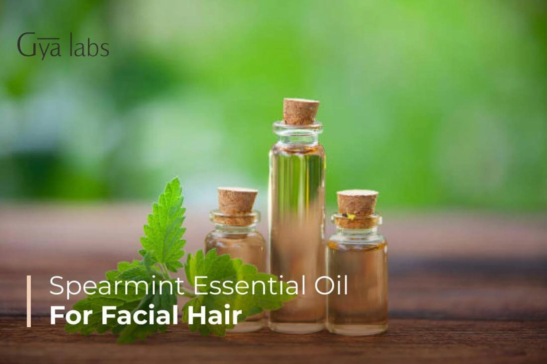 Spearmint Oil for Face: The Refreshing, Skin-Loving Essential Oil