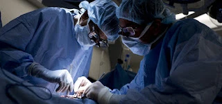 Draft: Discover the Different Types of Cosmetic Plastic Surgery