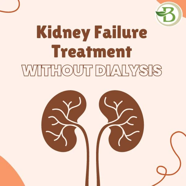  Homeopathy for Kidney Health: Addressing Root Causes Naturally and Effectively