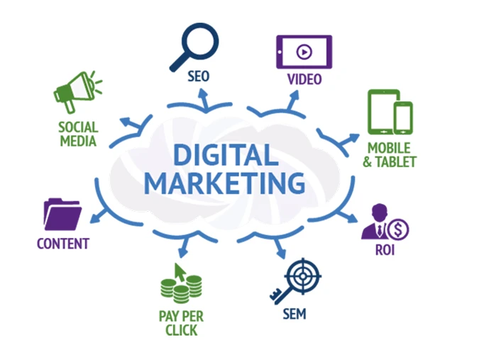 Why Digital Triangle is the Best Digital Marketing Agency in Noida
