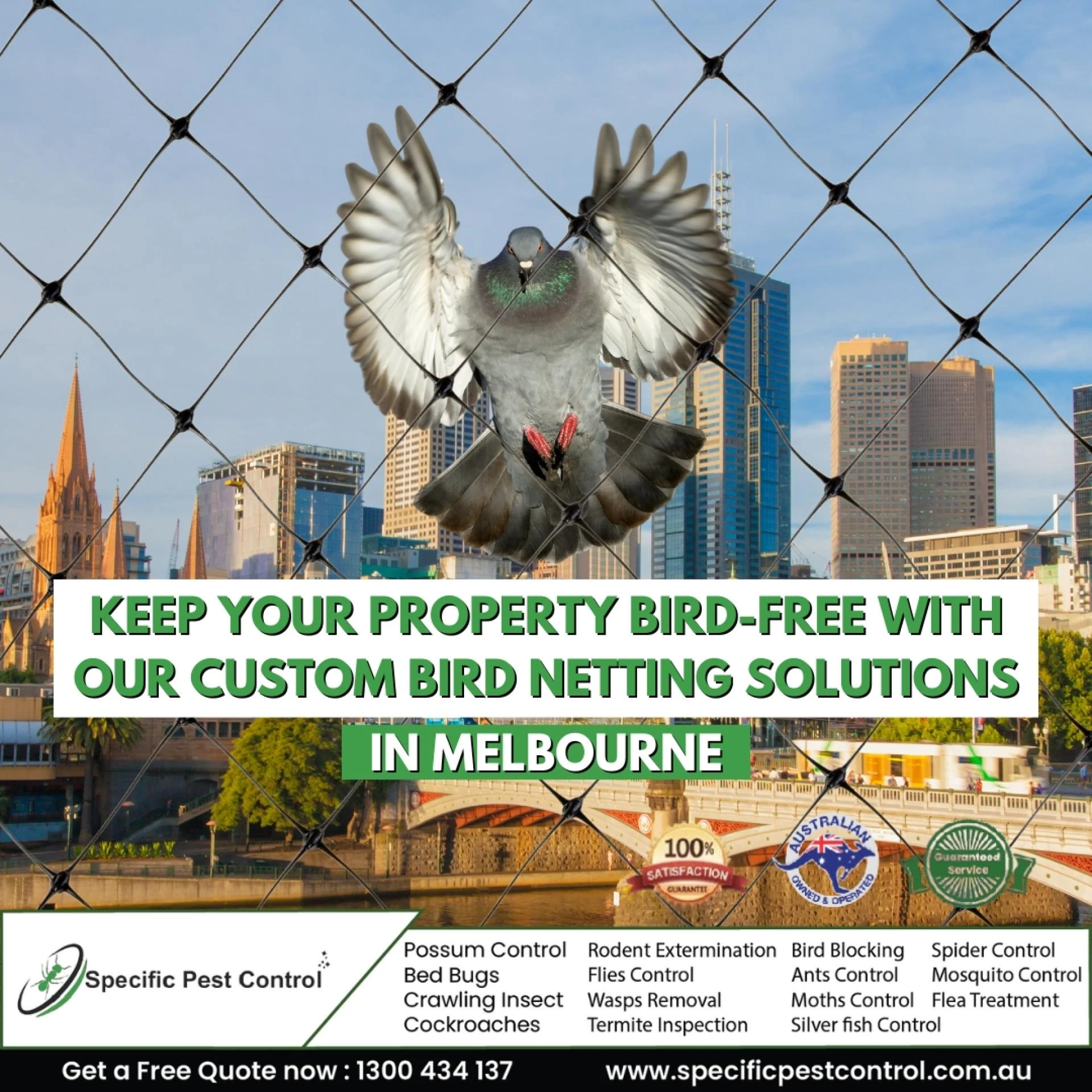 Effective Bird Control Solutions in Melbourne with Specific Pest Control