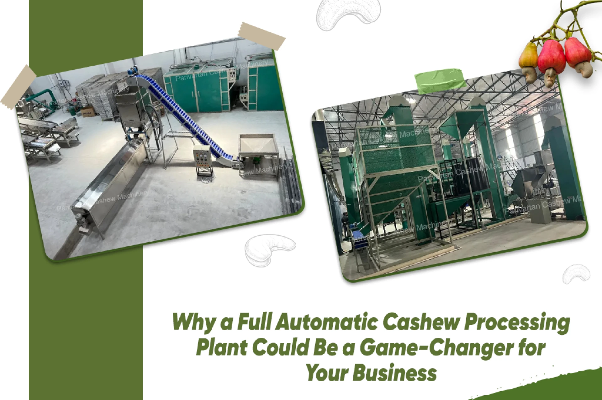 Why a Full Automatic Cashew Processing Plant Could Be a Game-Changer for Your Business