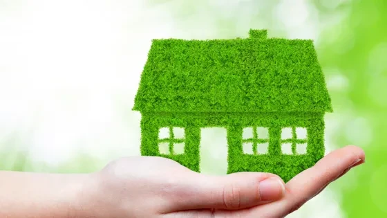 Green Plumbing: How to Upgrade Your Plumbing System Sustainably