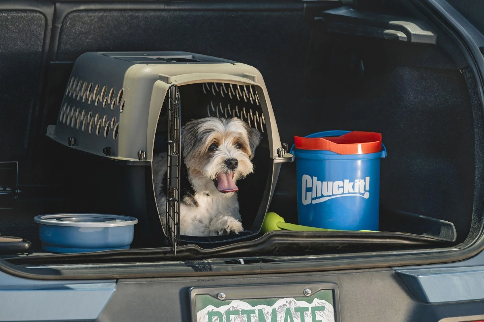 Keep Your Dog Safe on Winter Walks with These 5 Tips