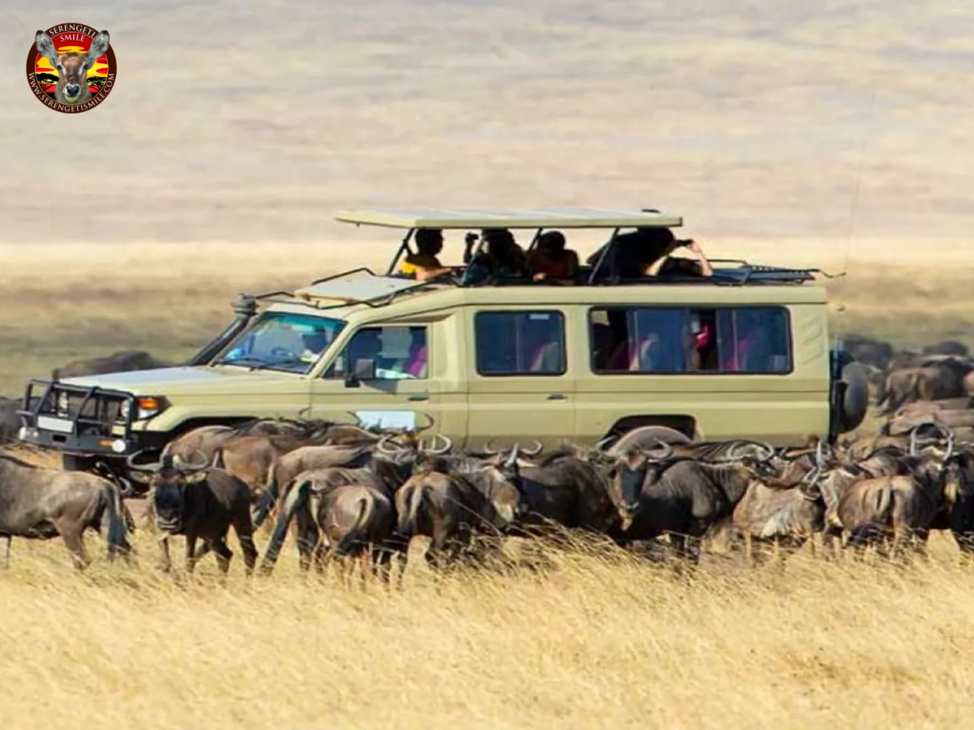 Exclusive Private Tanzania Safari Tours with the Leading Tour Operators