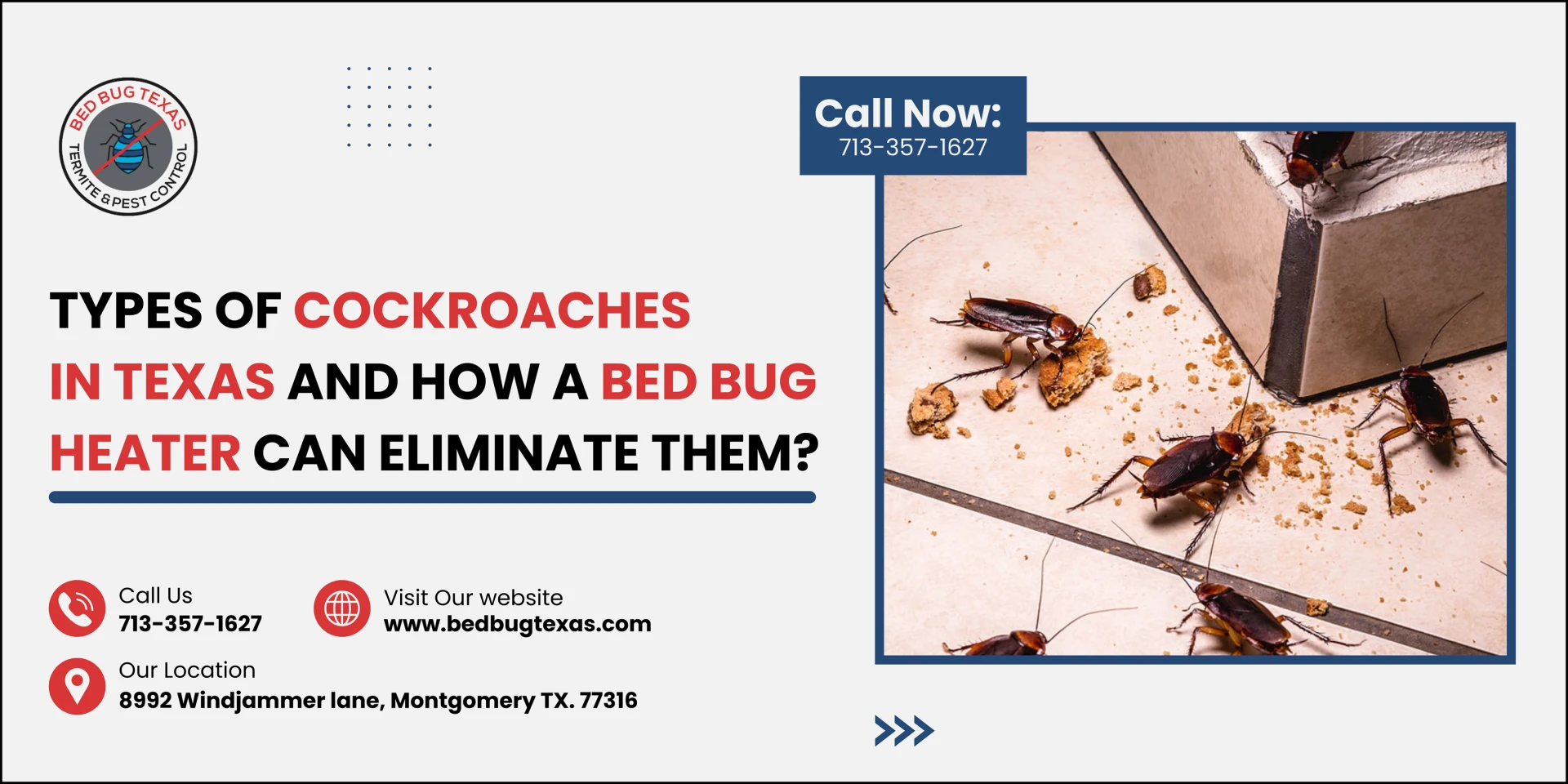 Types of Cockroaches in Texas and How a Bed Bug Heater Can Eliminate Them?