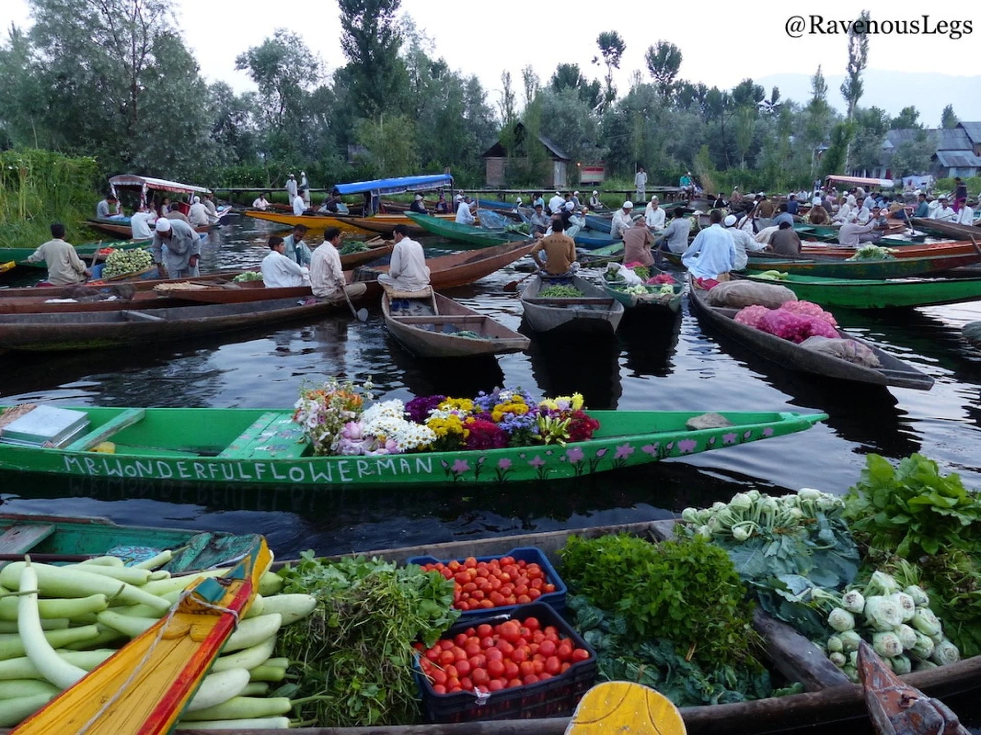 Your Guide to Extraordinary Kashmir Offbeat tour packages from Delhi