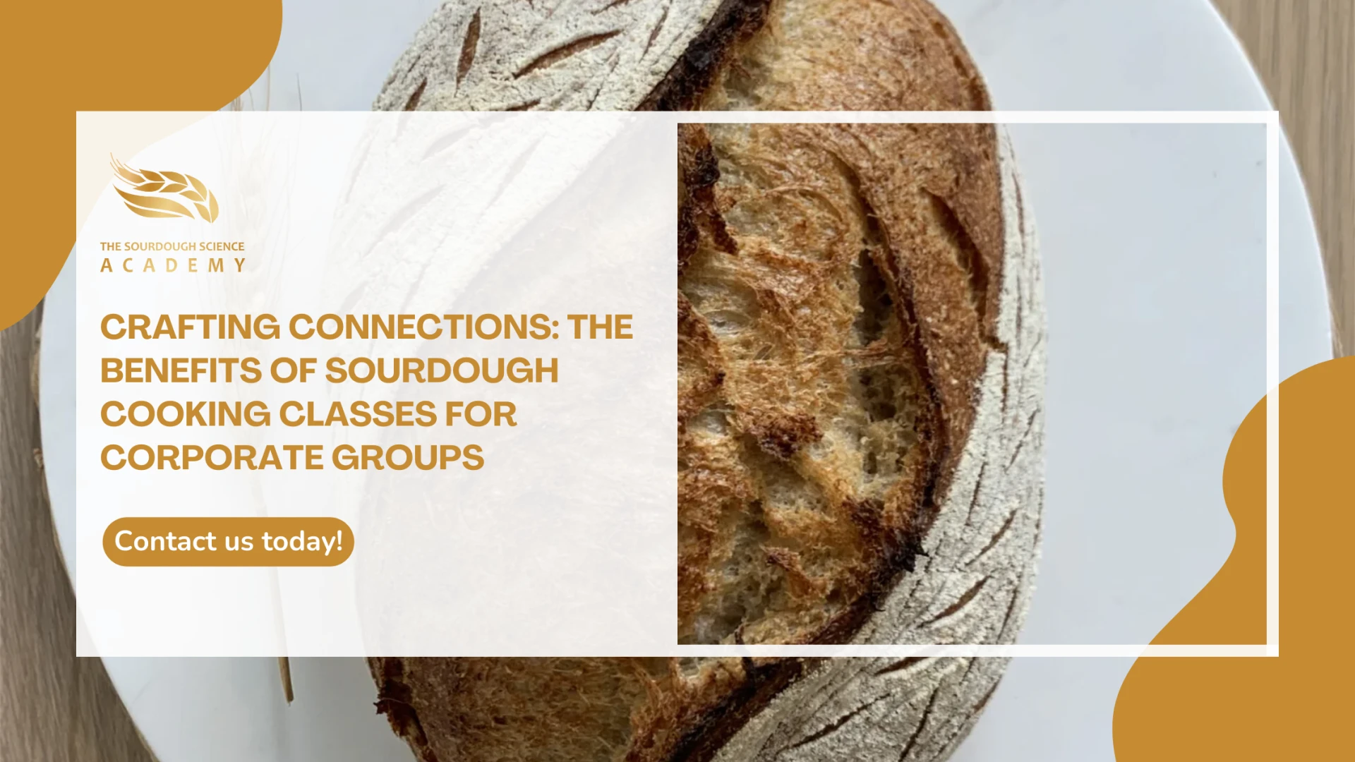 Crafting Connections: The Benefits of Sourdough Cooking Classes for Corporate Groups