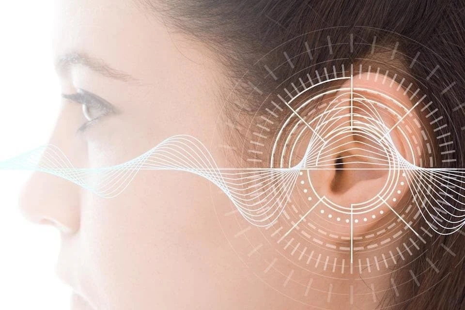 Essential Guide to Modern Ear Inspection Tools