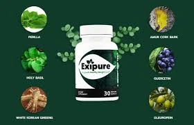 Important Specifications About Best Weight Loss Pills