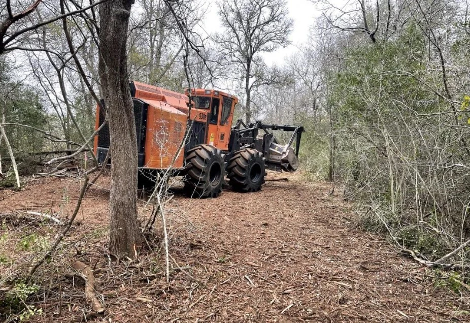 Land Clearing in Parsons, Tennessee: Preparing the Way for Progress