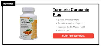 Improve Knowledge About Best Immunity Boosters