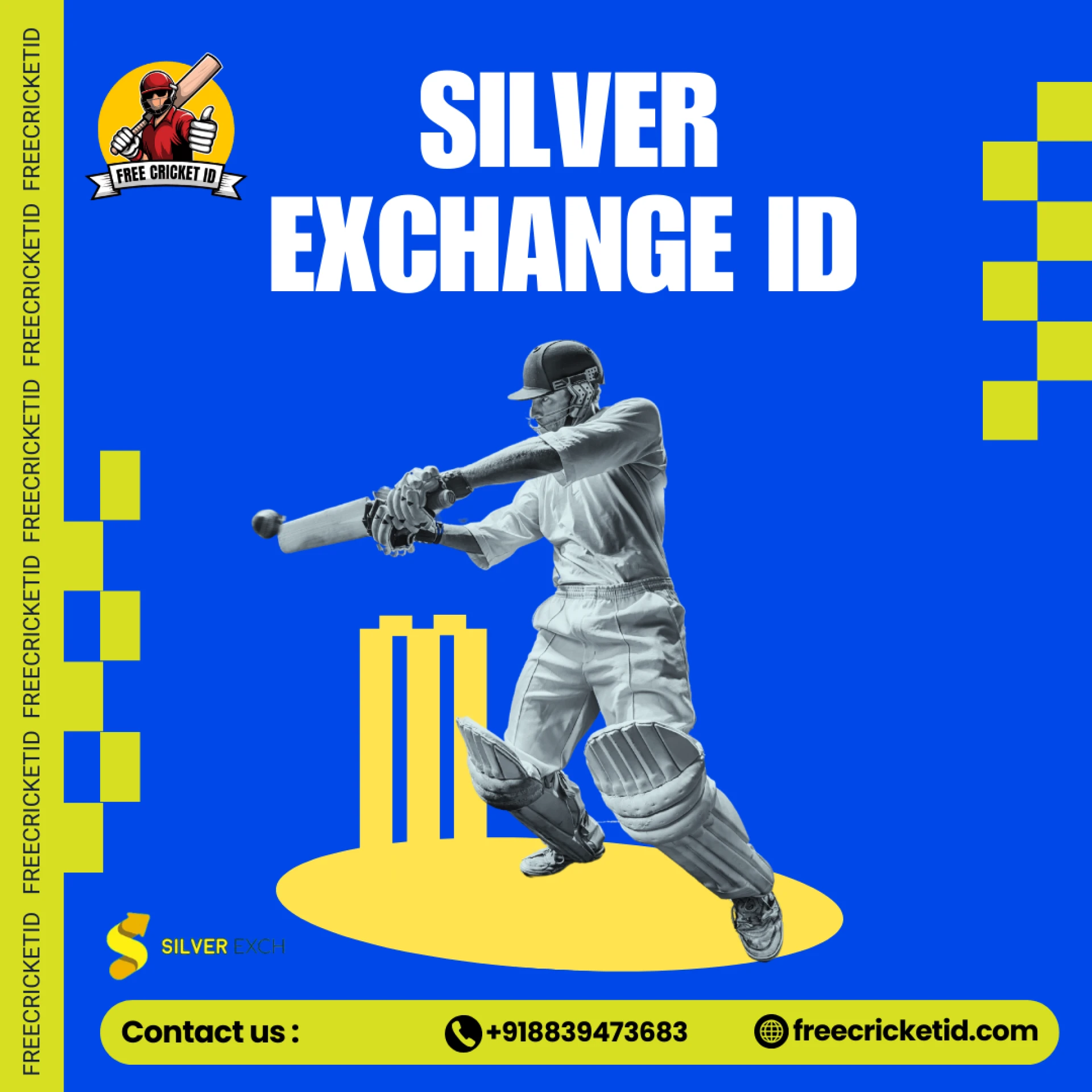 How to Login to Silver Exchange ID and Sky Exchange Betting ID