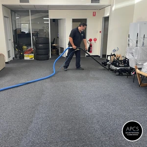 Is Professional Carpet Cleaning Worth It?