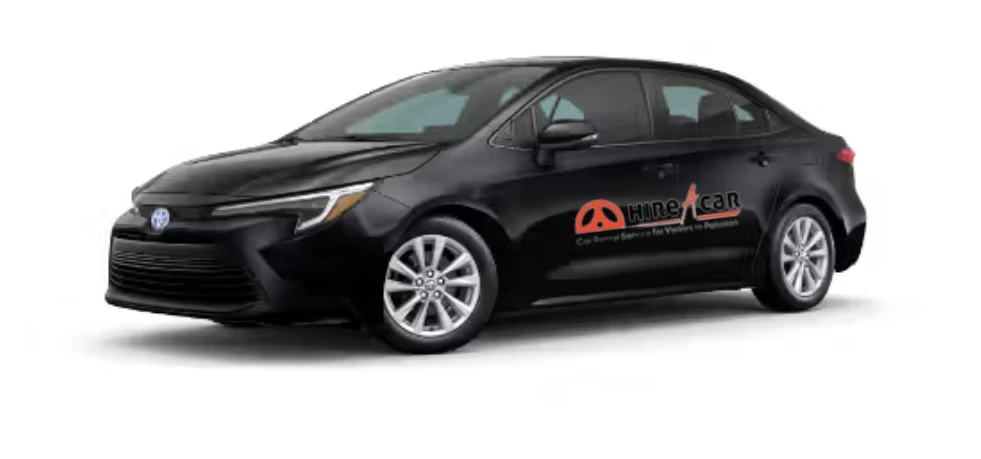 Do You Need a License to Rent a Car? Everything You Should Know