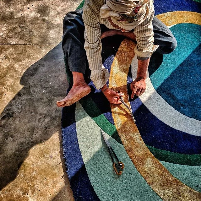 Carpet vs. Hardwood: Which is Best for Your Home?
