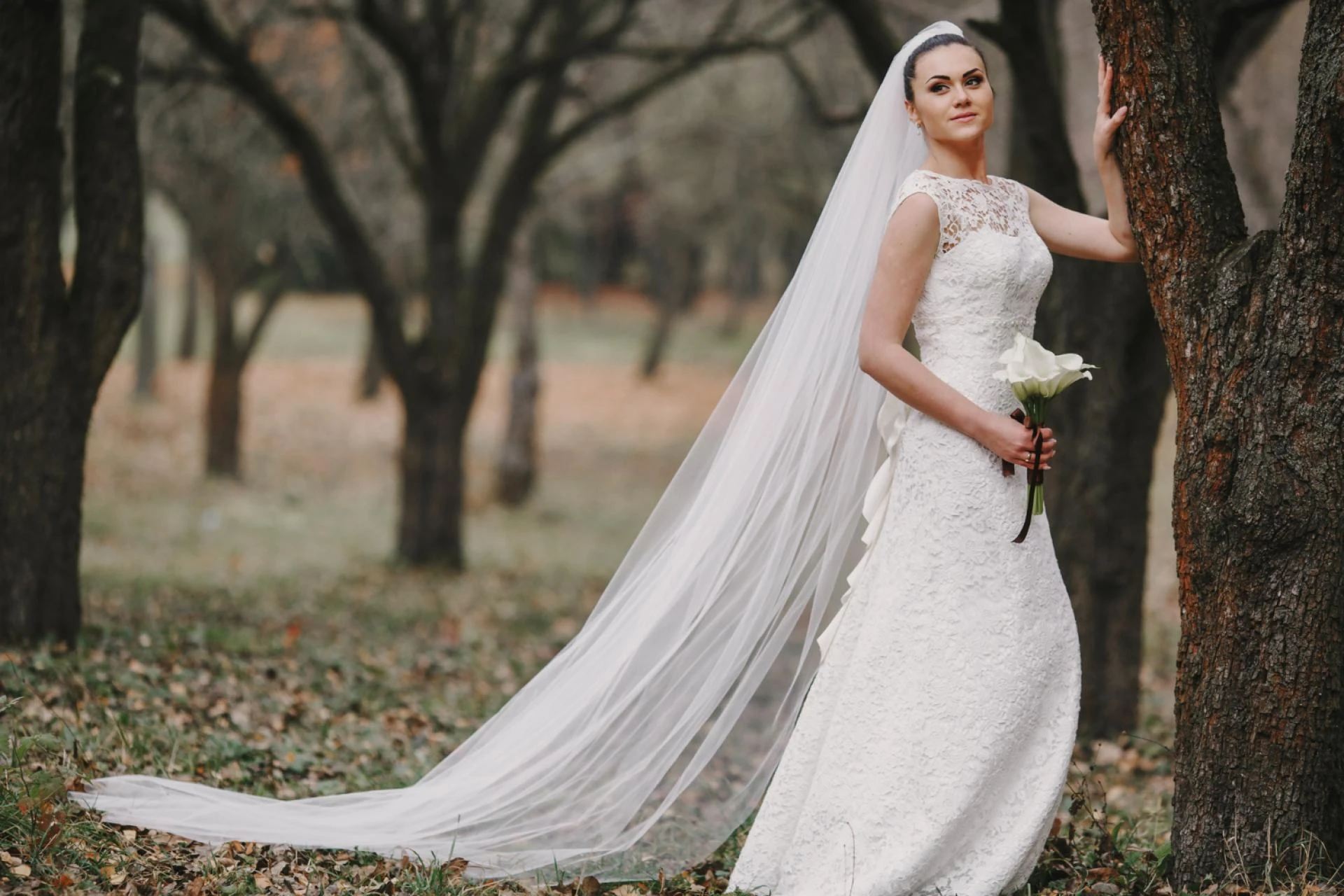 Finding the Perfect Dress: Wedding Dresses and Wedding Guest Dresses