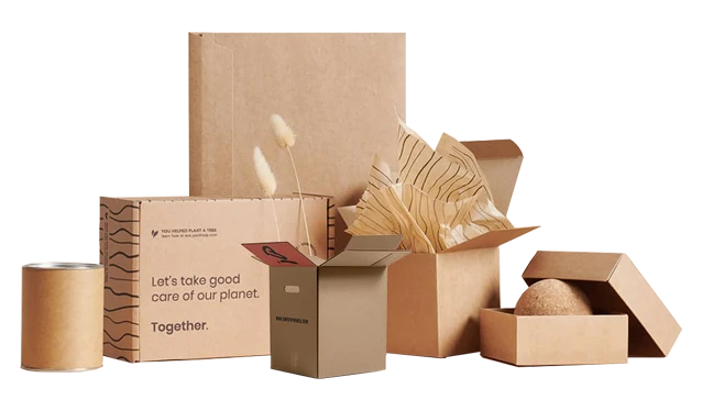 Custom Packaging Boxes: The Ultimate Guide for Businesses