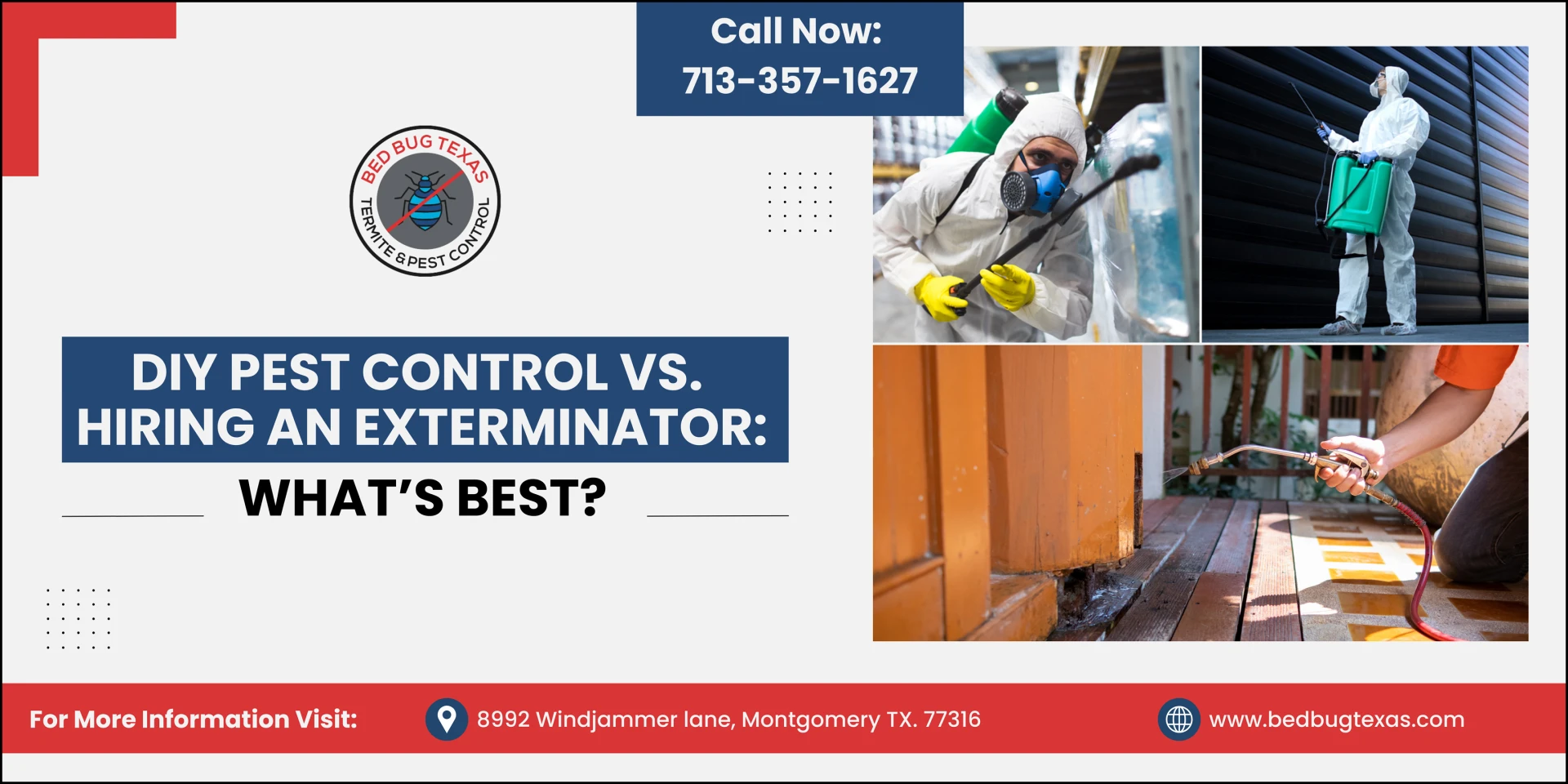 DIY Pest Control vs. Hiring an Exterminator: What’s Best?