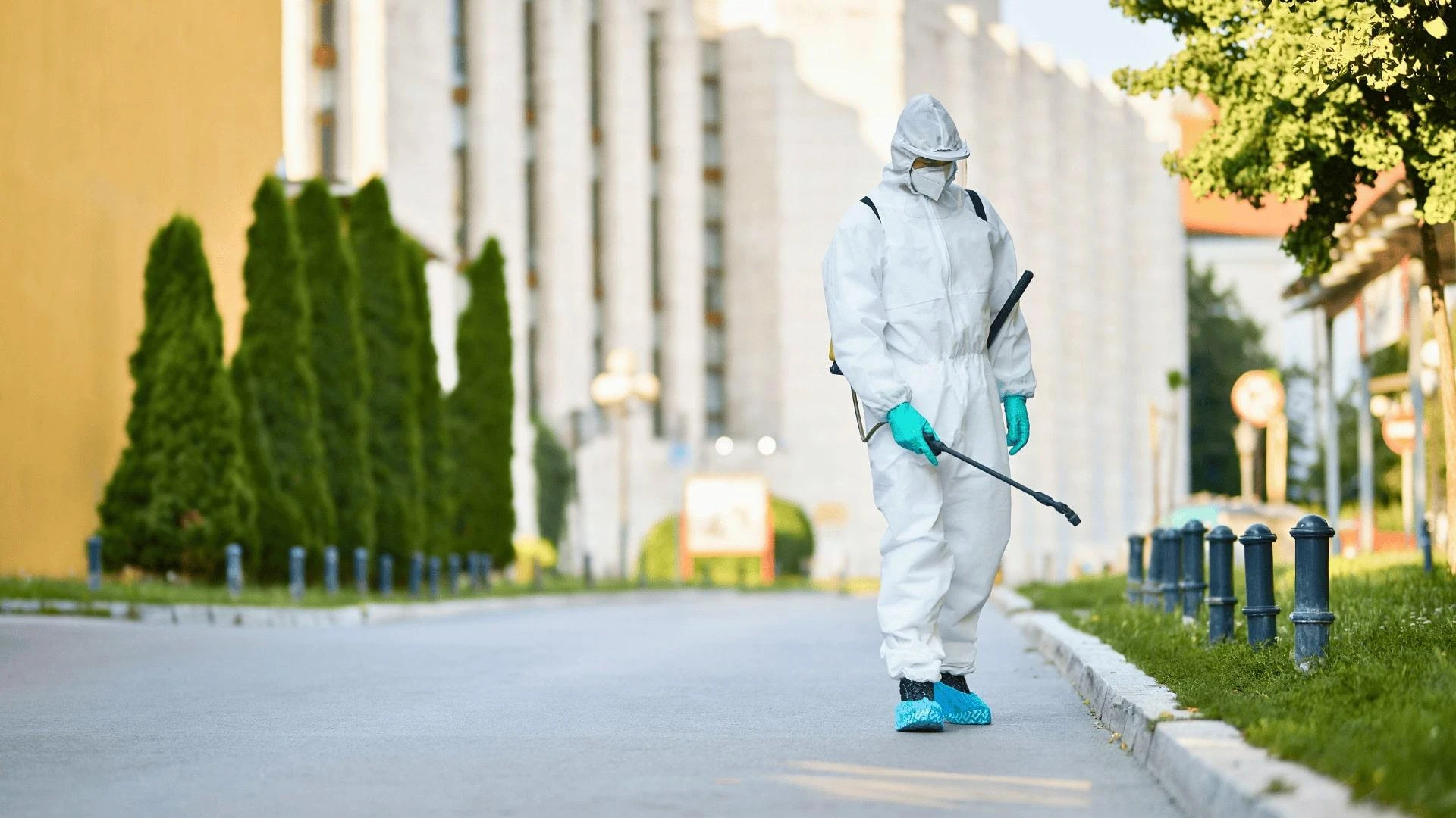 Expert Pest Control Tips for North Richland Hills Homeowners