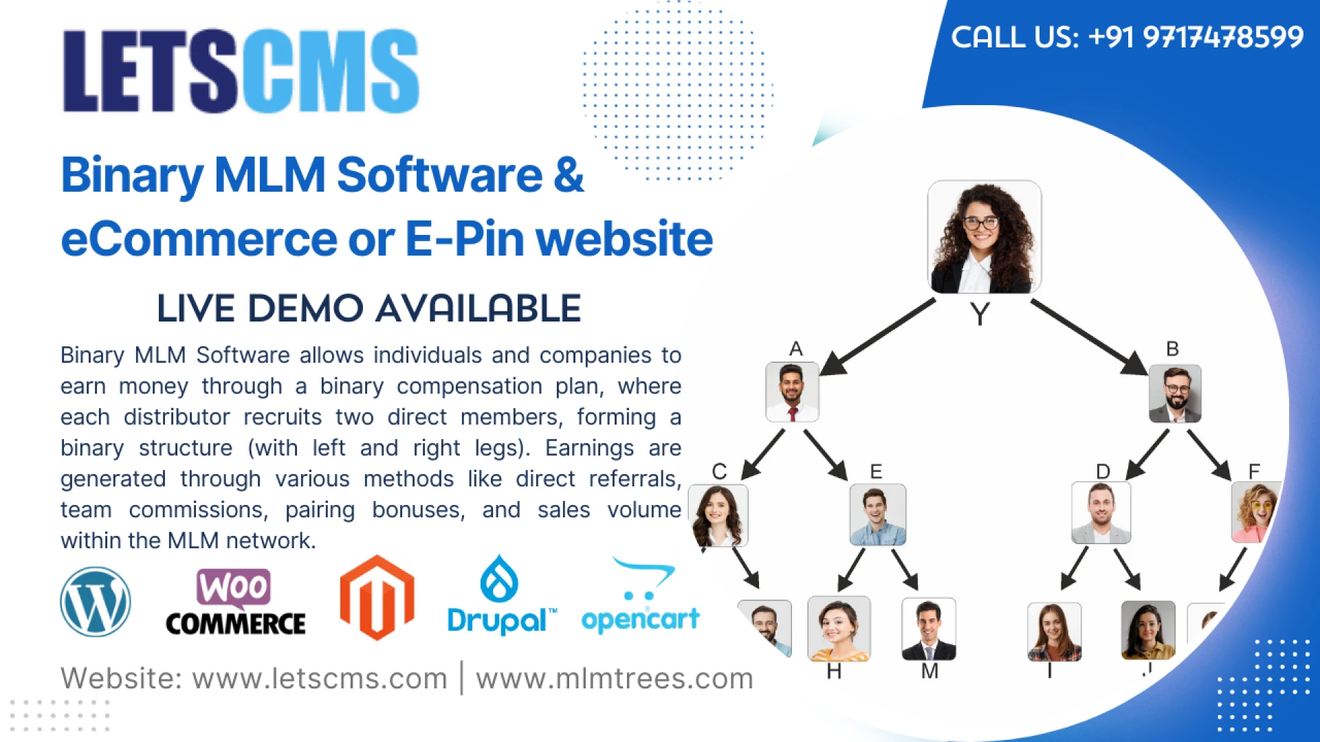 Affordable Binary MLM Software Solutions | Binary MLM Plugins, Code & Scripts