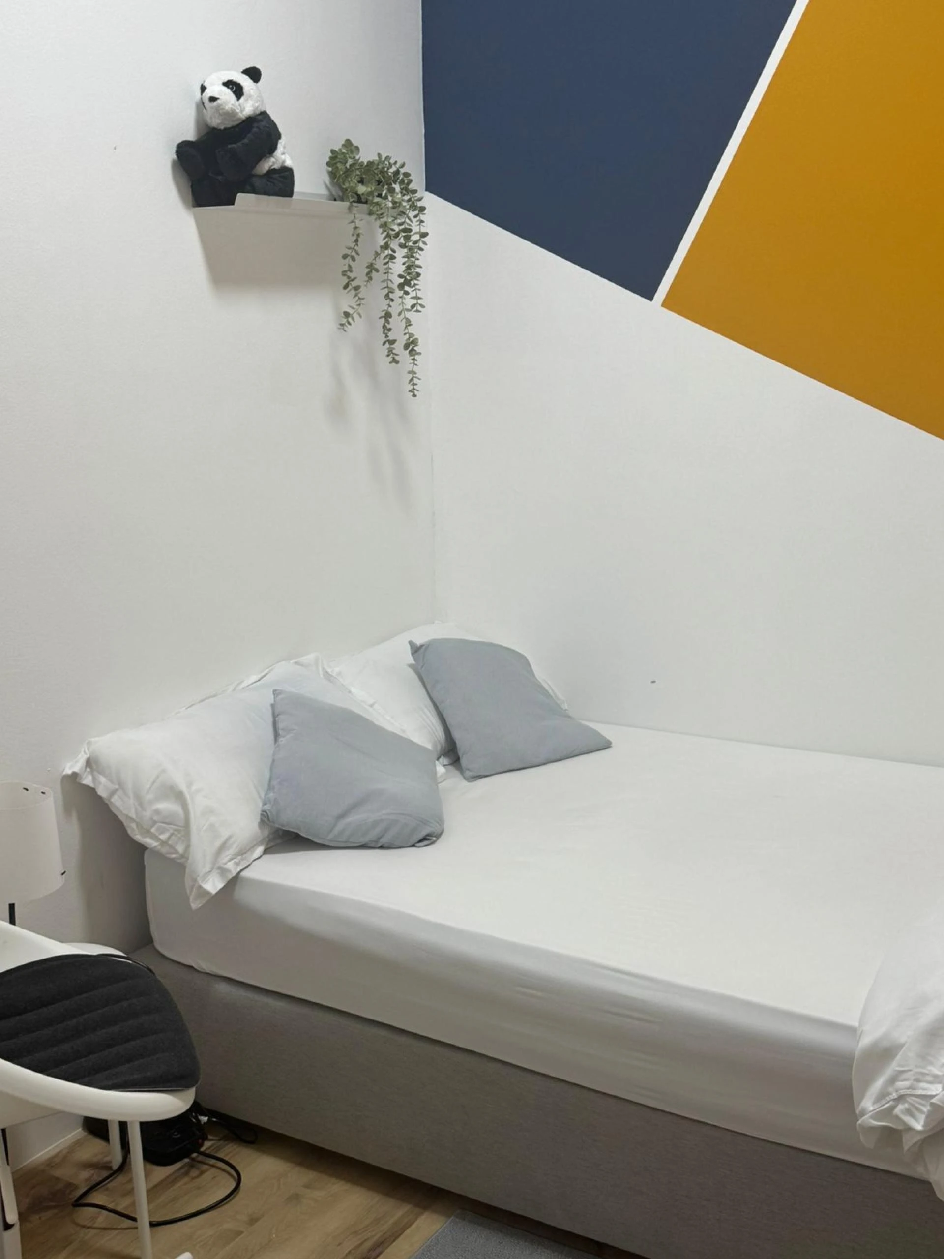 Exploring Budget-Friendly Hostels in Dubai for Travellers