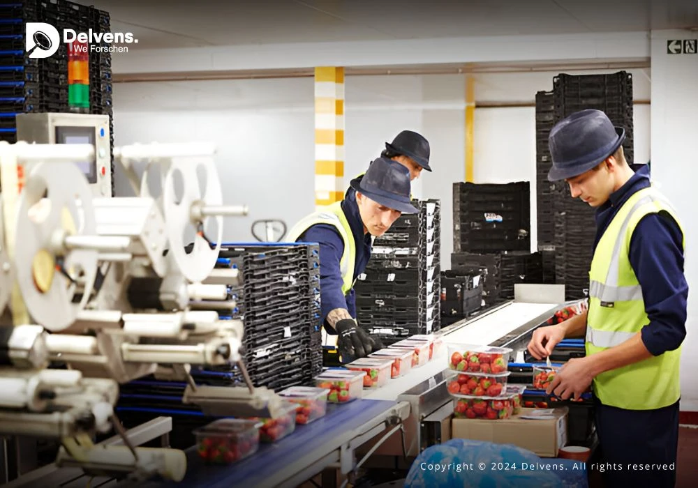 Smart Food Packaging Market Dynamics - Exploring Growth, Opportunities and Technological Advances Up