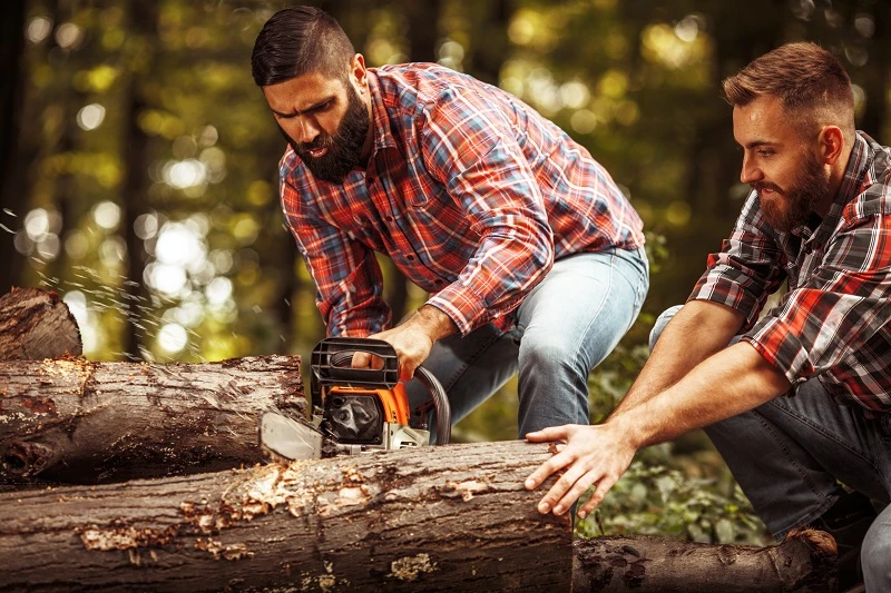 Unleashing Power At The Backyard: A Comprehensive Guide On Choosing The Right Battery Chainsaw