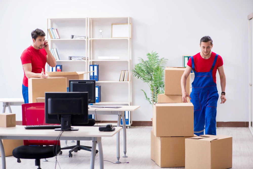 Why Should You Hire Professionals for Office Removals