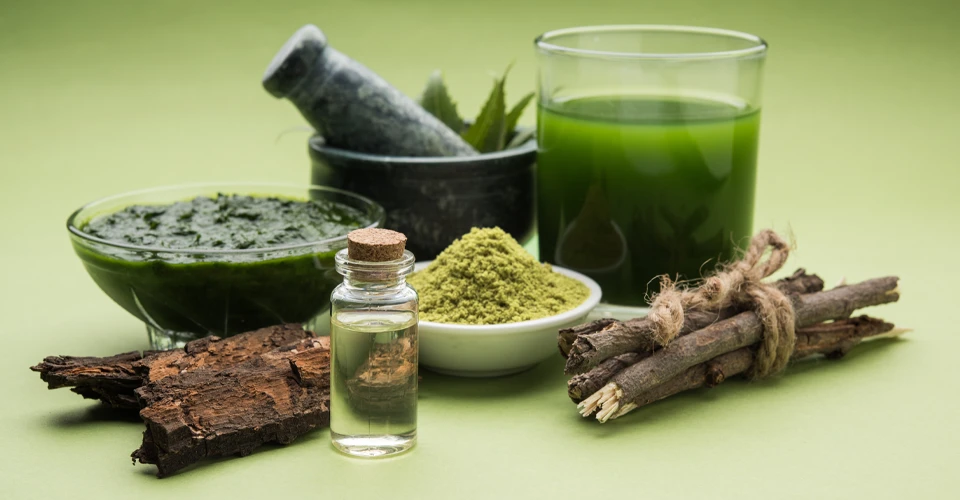 Traditional Ayurvedic Therapies at the Best Ayurved Treatment Centre in Santacruz
