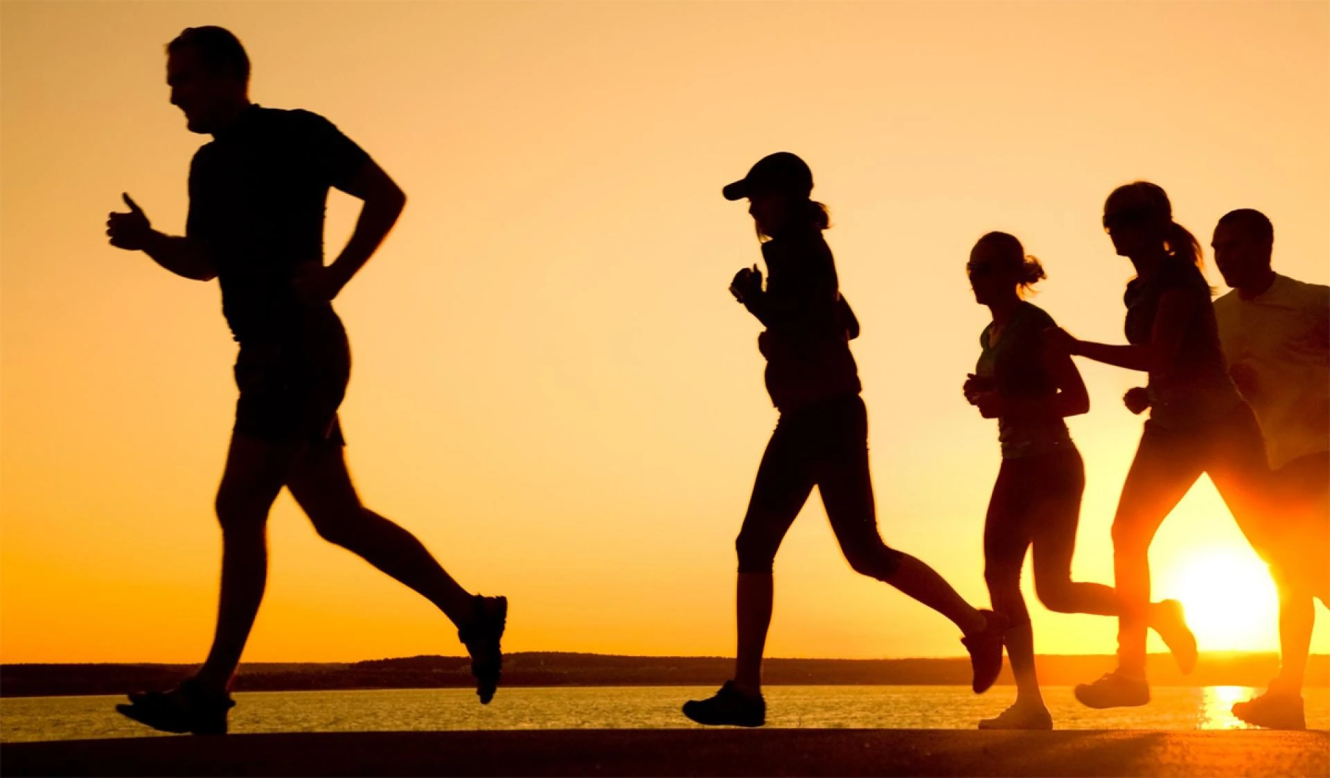 Le Sport : Une Source Inépuisable de Passion et d'Émotions