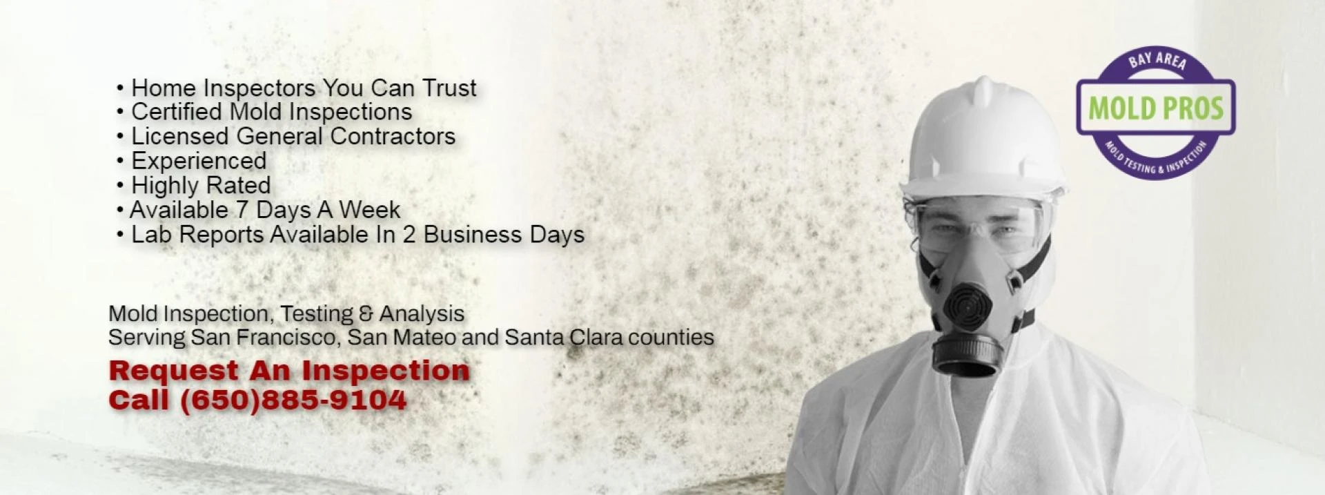 Commercial and Residential Mold Damage in San Francisco: Causes, Risks, and Solutions