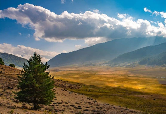 Book Bhutan Tour Packages from Guwahati 