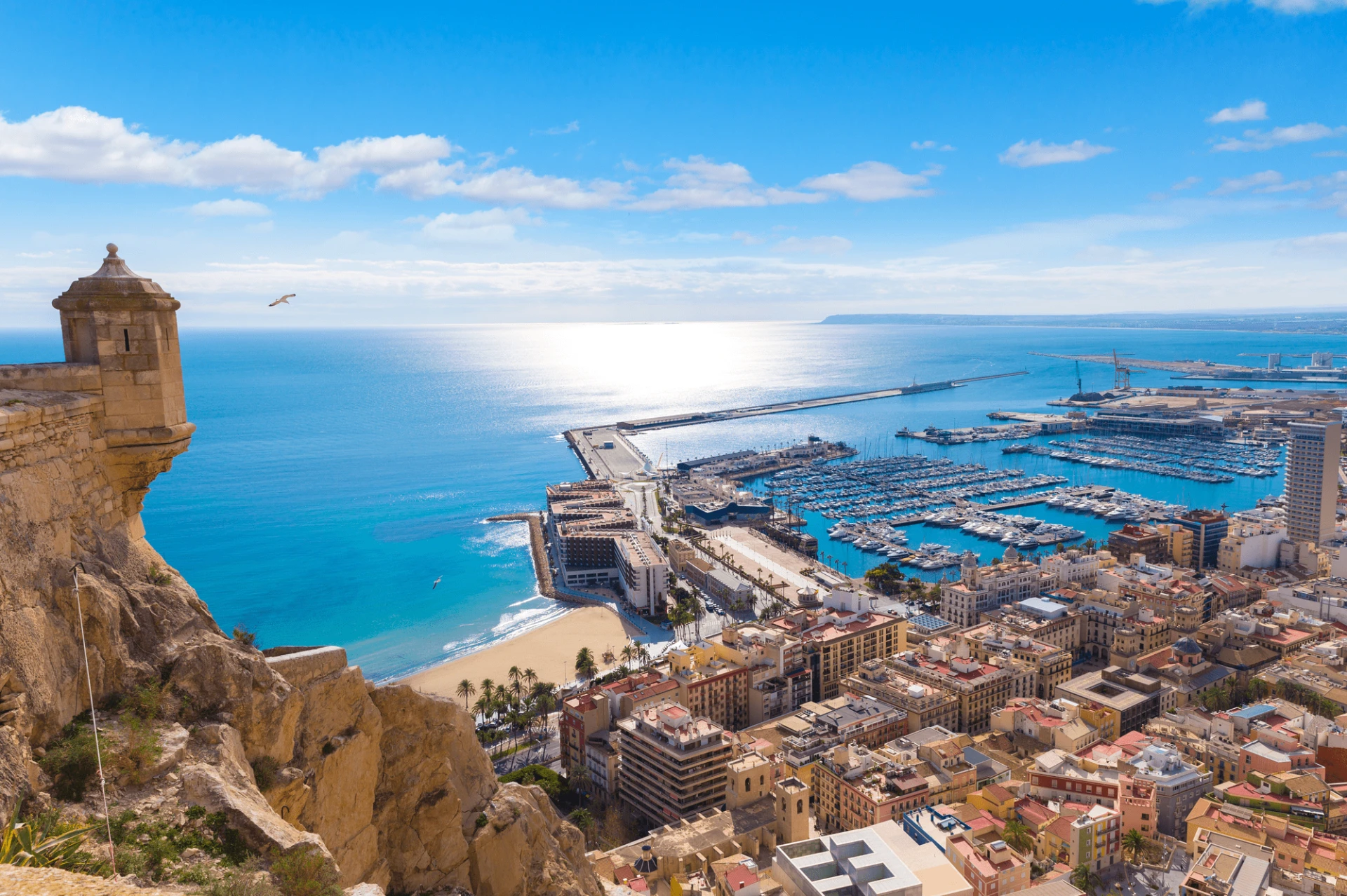 Is Choosing a Relocation Agency Really Essential?