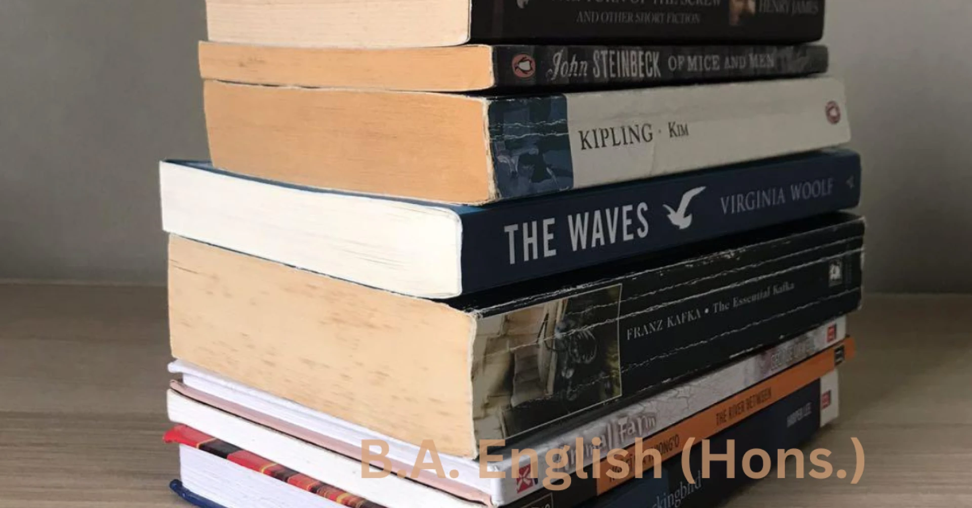 Shaping Critical Thinkers and Creative Writers with BA English Honours