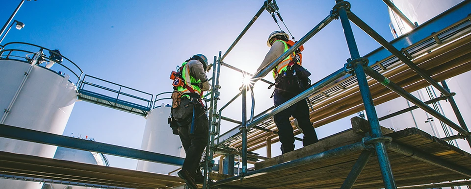 Scaffolding Companies Near Me