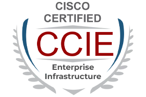 Draft: CCIE enterprise training institute