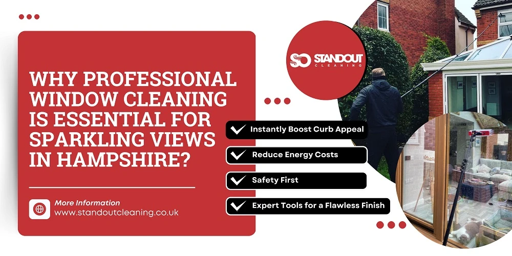 Why Professional Window Cleaning is Essential for Sparkling Views in Hampshire?