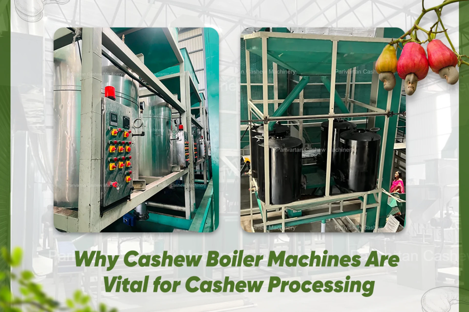 Why Cashew Boiler Machines Are Vital for Cashew Processing