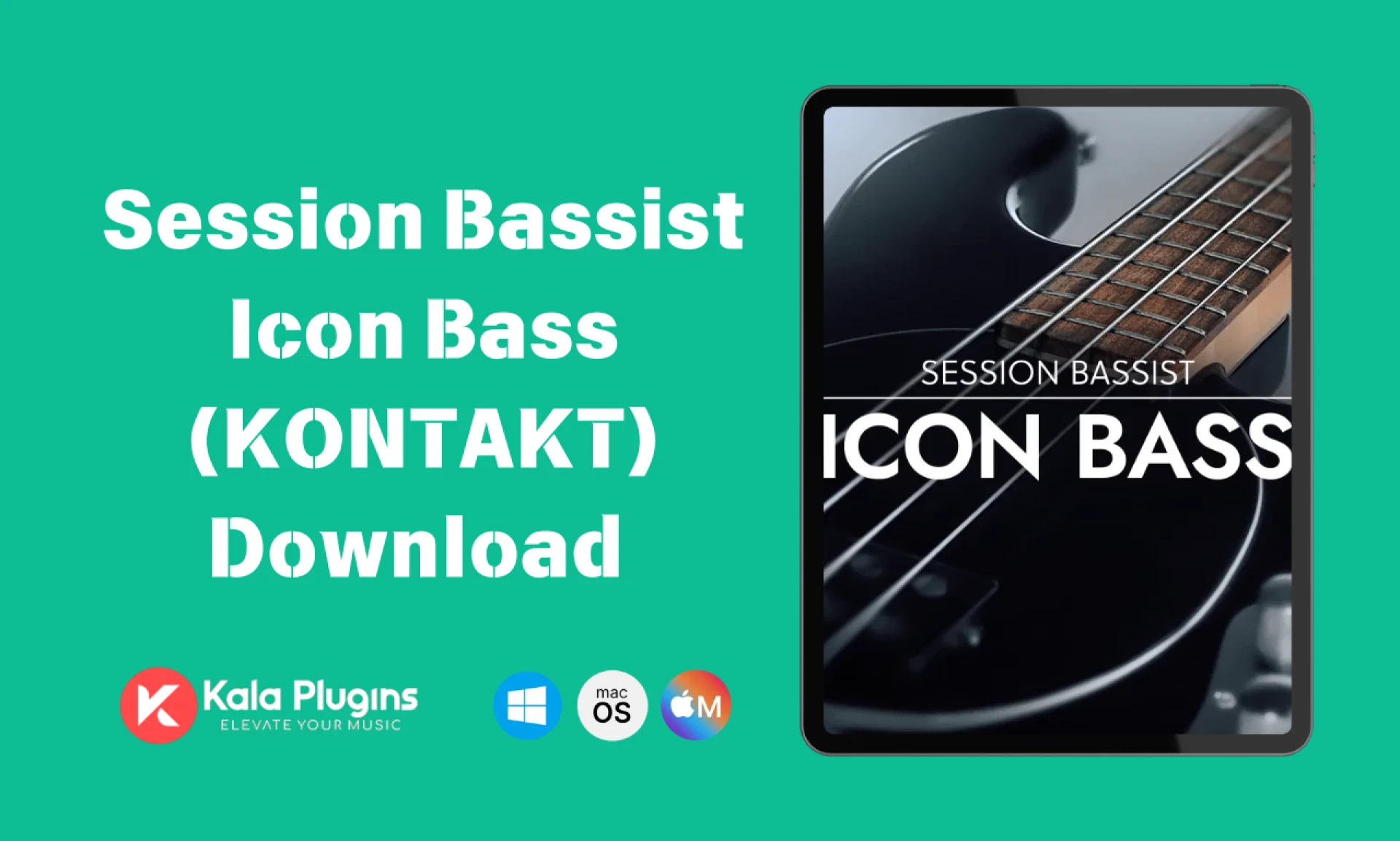 Download Session Bassist Icon Bass (KONTAKT)