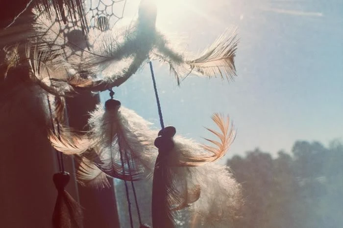 What are some of the most common problems homeowners encounter with plumbing?